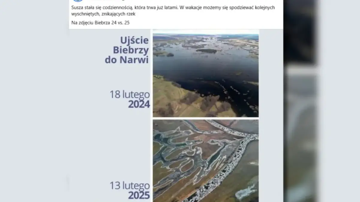 Ile jest rzek w Polsce? Zaskakujące fakty o ich liczbie i znaczeniu