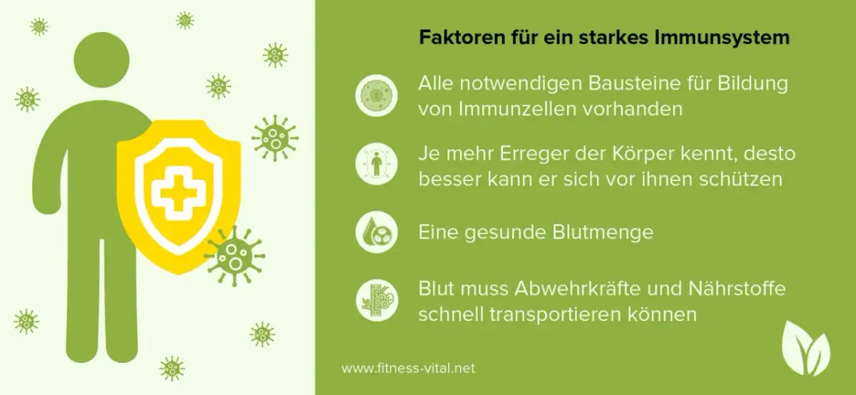 Immunsystem im Keller stärken: So vermeiden Sie gesundheitliche Risiken
