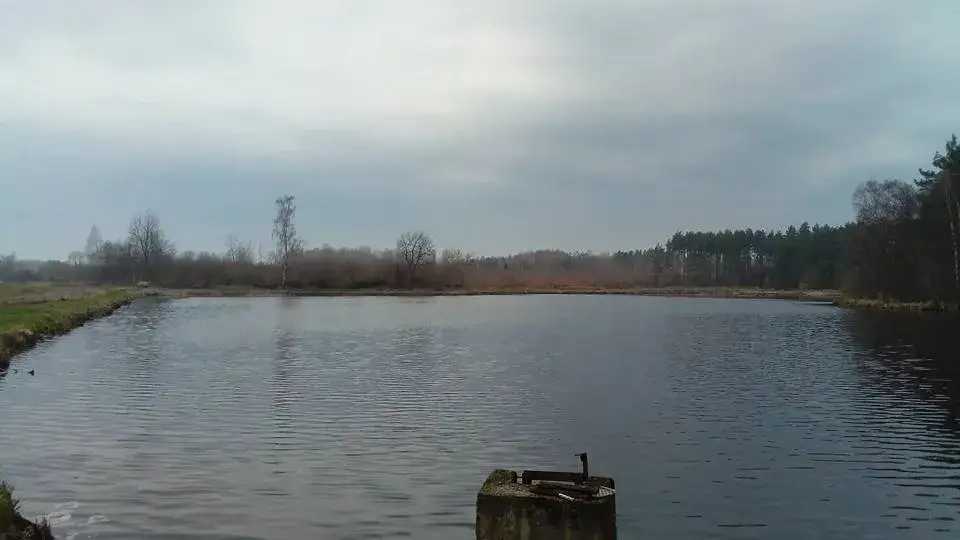Najlepsze jeziora komercyjne w Pomorskim na wędkowanie i relaks