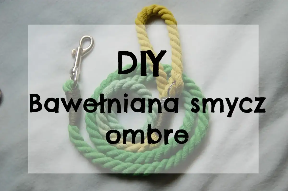 Jak zrobić smycz dla psa - łatwe i tanie sposoby na DIY