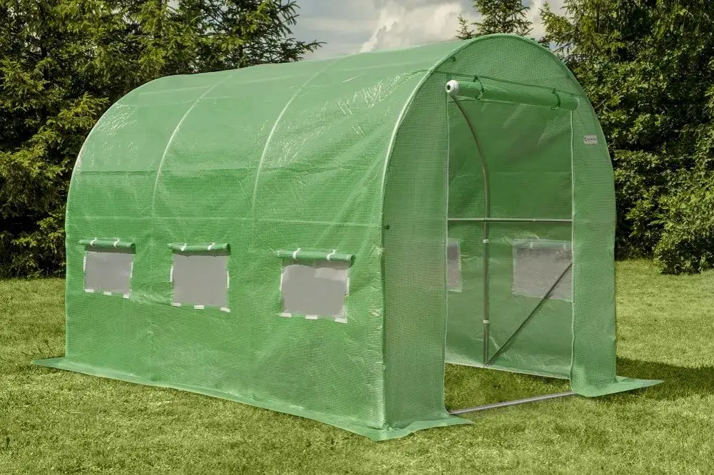 Co siać na zimę w tunelu foliowym, aby uniknąć strat w plonach?