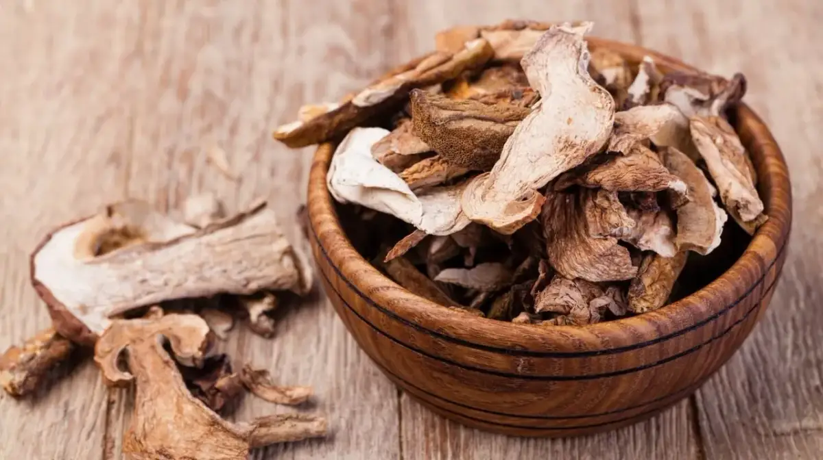 Ile prądu pobiera suszarka do grzybów i jak obniżyć koszty?