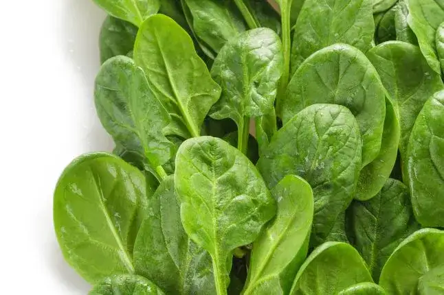 Szpinak dla niemowlaka: Od kiedy, jak i na co uważać? Poradnik