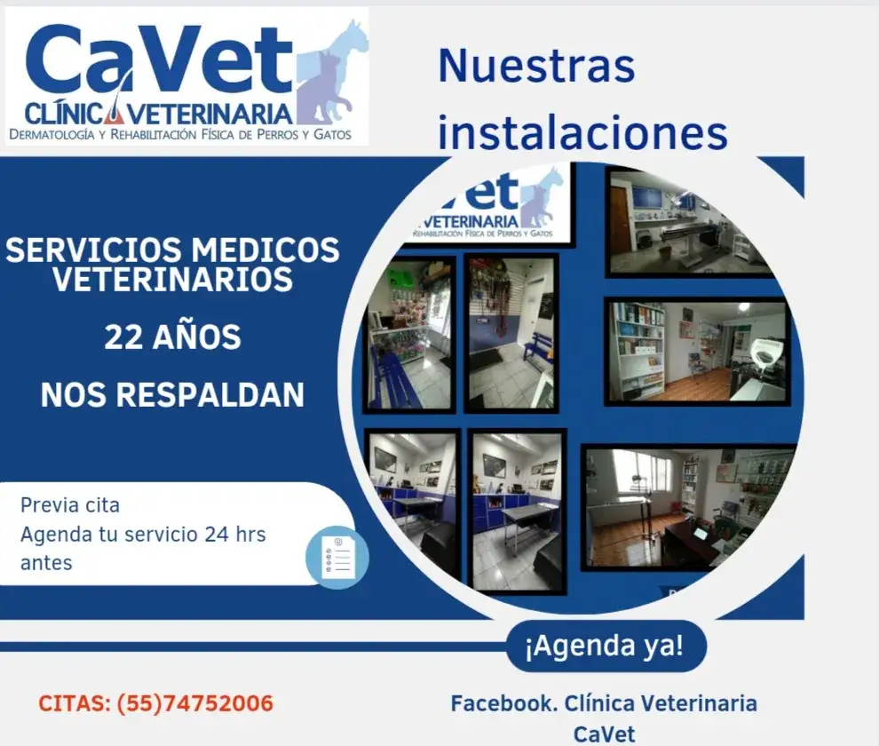 Veterinario del Clínic: Servicios destacados y atención personalizada para tu mascota