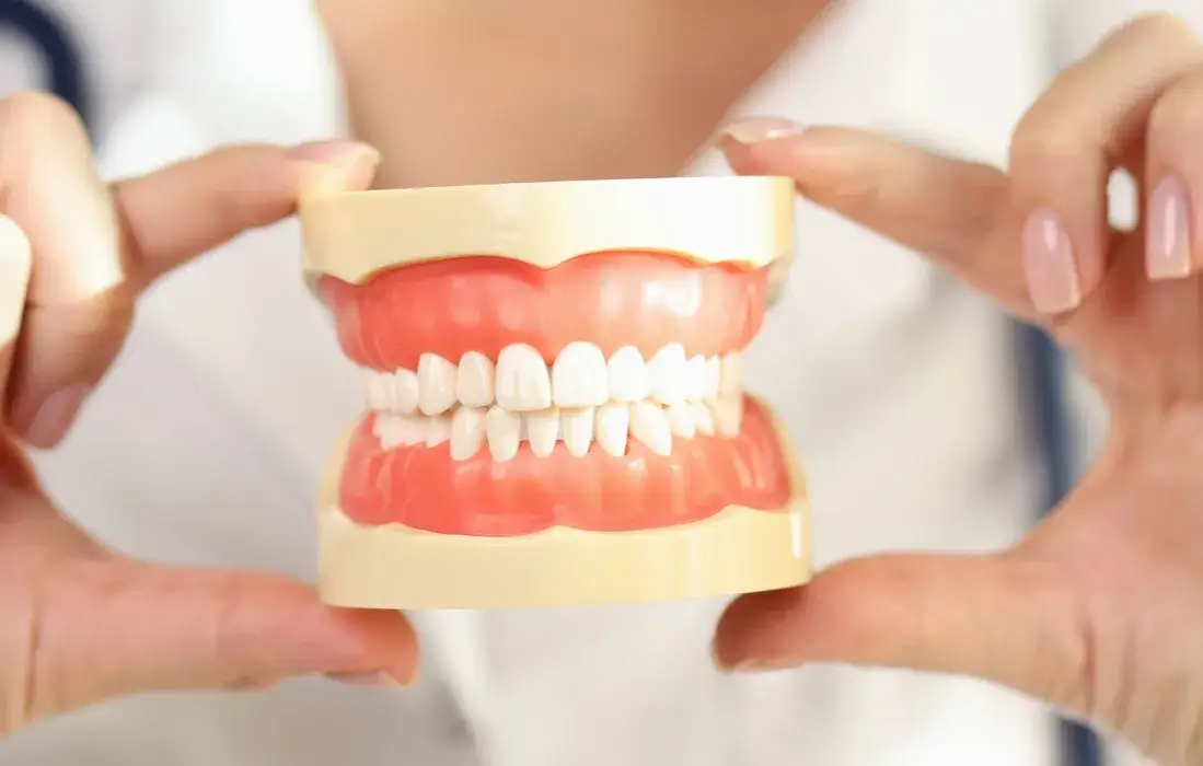 Ile zębów ma dorosły człowiek? 28 czy 32 to norma?