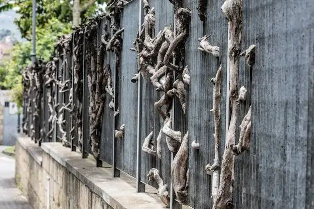 Jak zamaskować betonowy płot? 10+ pomysłów na metamorfozę