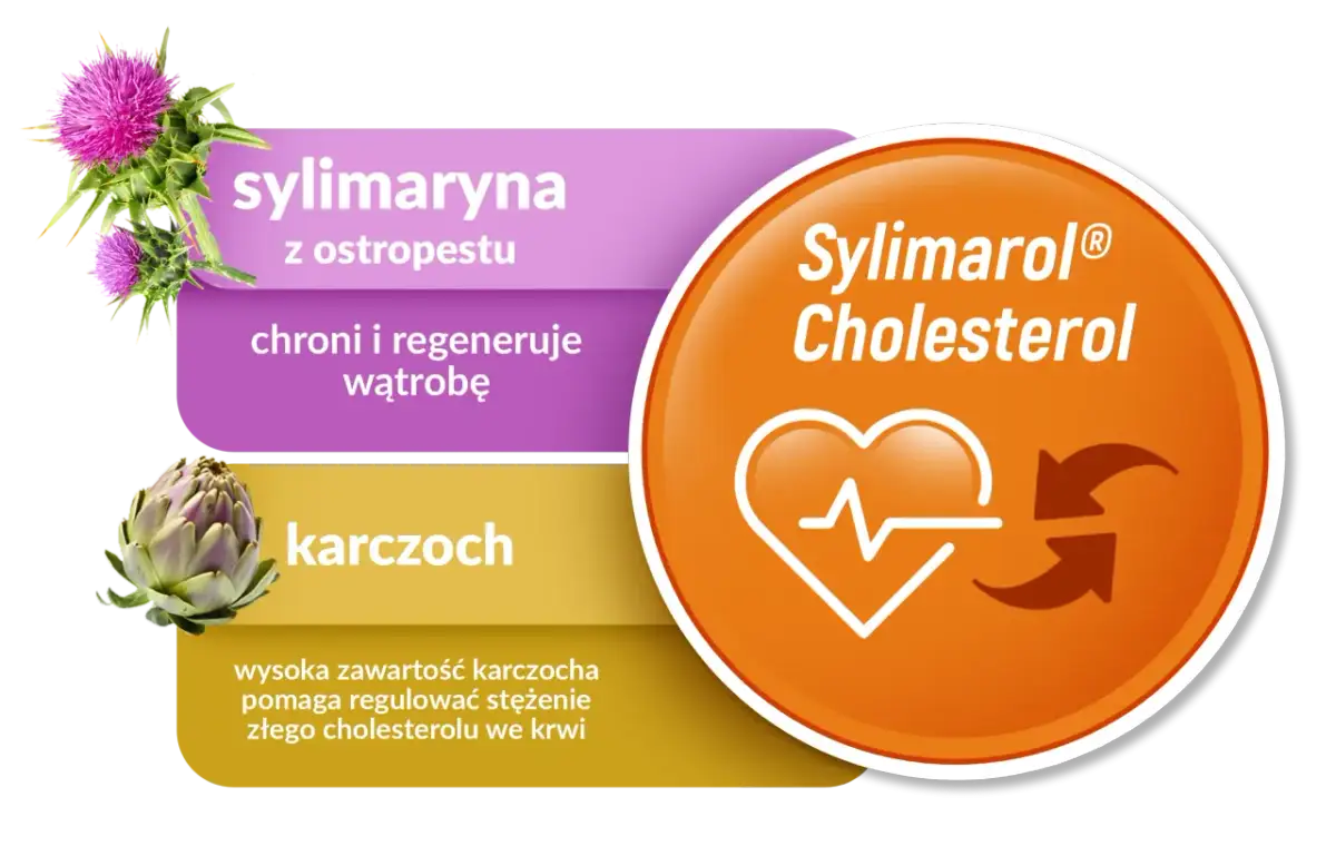 Sylimaryna z ostropestu i karczoch na tle grafiki z sercem i strzałkami, symbolizujące regulację cholesterolu.