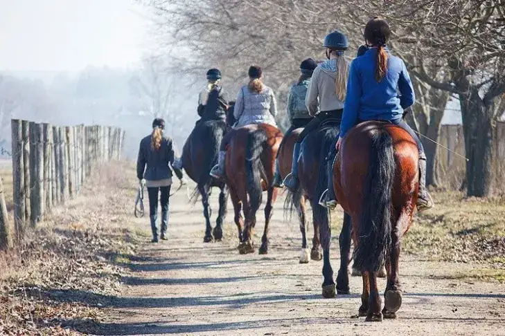 Czy można jeździć konno po chodniku? Poznaj przepisy i zasady