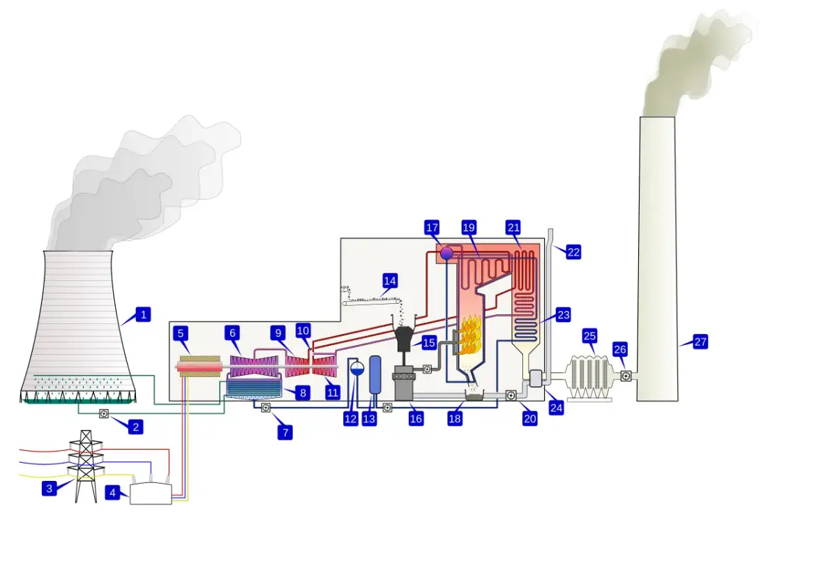 Schemat pokazuje, jak działają elektrociepłownie: spalanie paliwa, produkcja pary, napędzanie turbiny i generatora, chłodzenie.