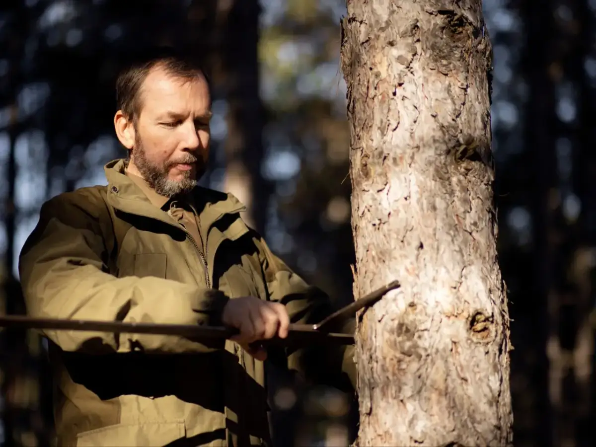 Wycinka drzew bez zezwolenia: Kiedy możesz działać legalnie?