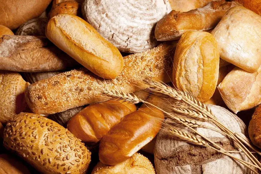 Czy pies może jeść bułkę? Dowiedz się, jakie są zagrożenia zdrowotne