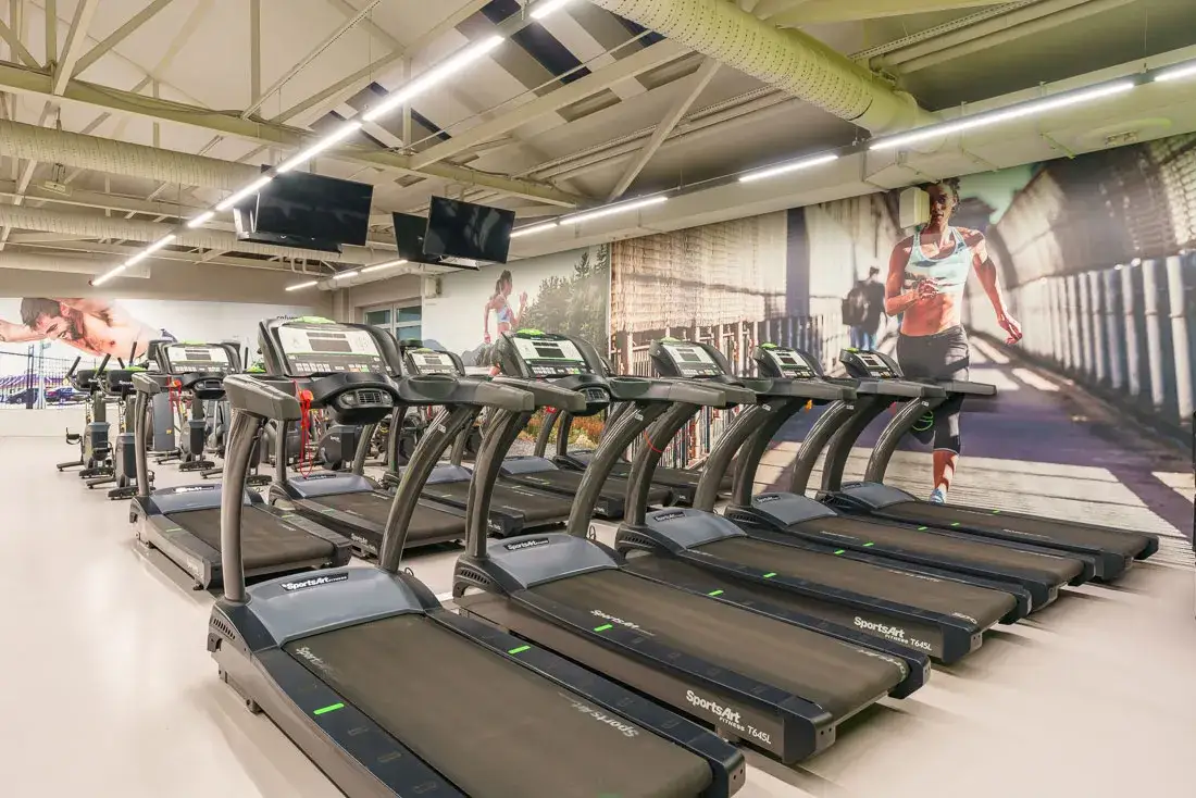 Calypso Warszawa: Lokalizacje, Ceny, Opinie i Promocje