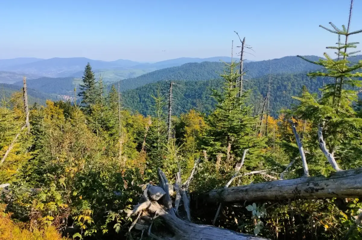 Stare Wierchy Turbacz: Łatwy szlak z widokiem na Tatry przewodnik