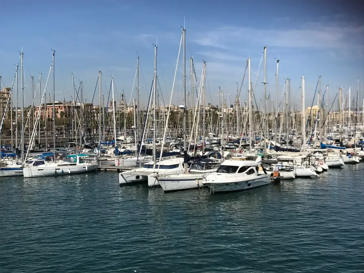 Deska do pływania: Klucz do szybkiej nauki. Wybierz idealną!