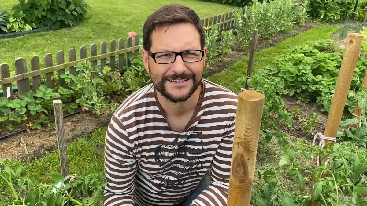 Jak uprawiać pomidory w gruncie - uniknij najczęstszych błędów