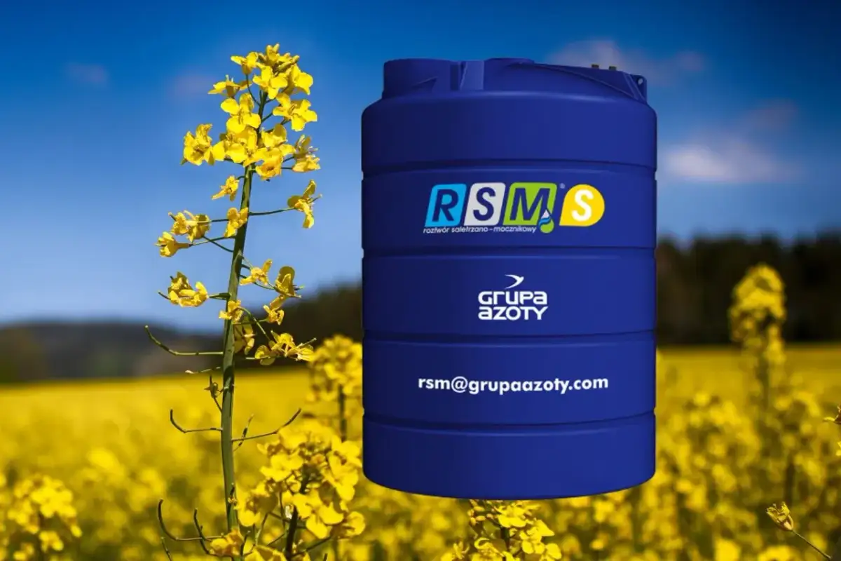 Jaki nawóz pod rzepak przed siewem, aby uniknąć słabych plonów?