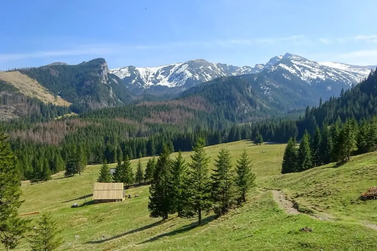 Tatry: jakie szlaki wybrać? Przewodnik dla każdego turysty