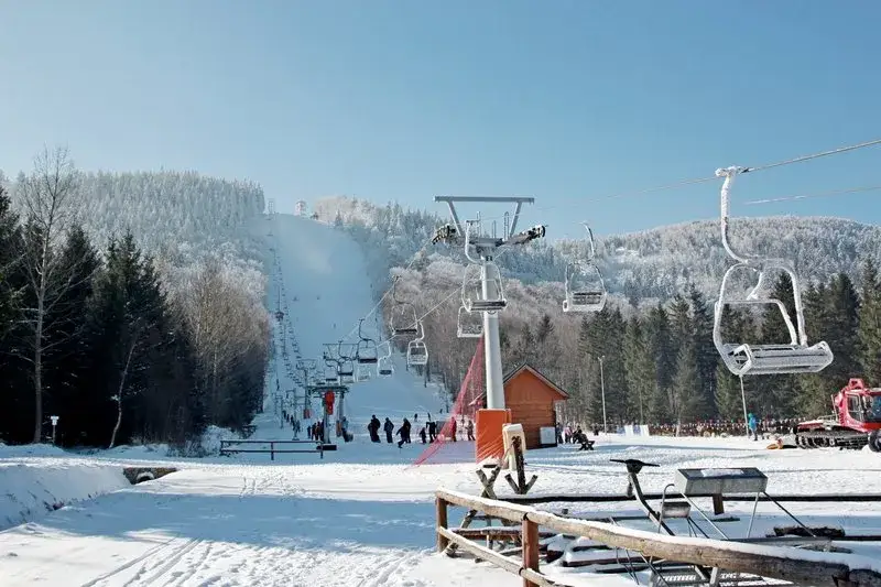 Dzikowiec Boguszów-Gorce: Trasy, Ceny 2026, Karnety i Warunki