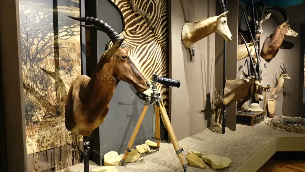 Muzeum łowiectwa i jeździectwa Warszawa - odkryj fascynujące eksponaty