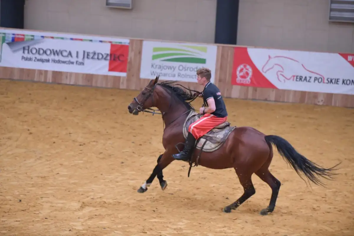 Hipologia i jeździectwo Poznań - Kluczowe informacje o studiach i rekrutacji