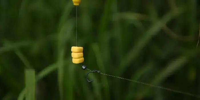 Jak wybrać idealny haczyk na karpia dla skutecznego łowienia