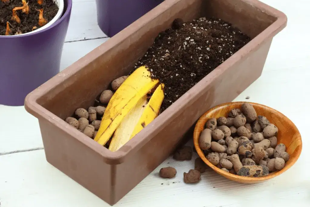 Nawóz ze skórek banana: Które rośliny pokochają tę odżywkę?