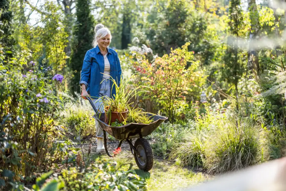 Altana na działce ROD: Co wolno, a czego nie? Pełny przewodnik!