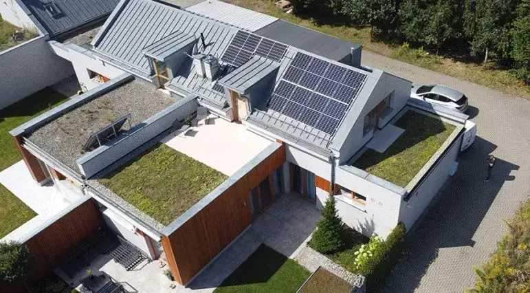 Zielone dachy: Poznaj ich korzyści i uniknij kosztownych błędów