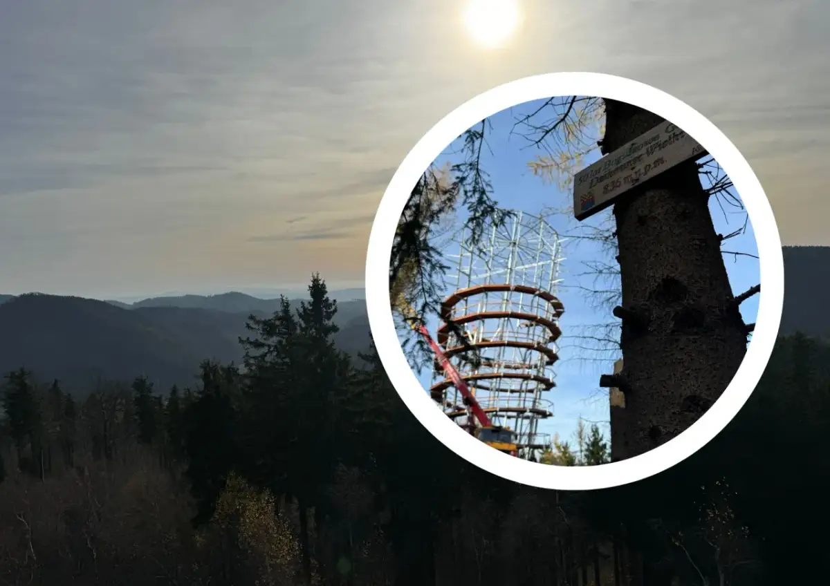 Atrakcje Dzikowca: Odkryj niezapomniane przygody przez cały rok