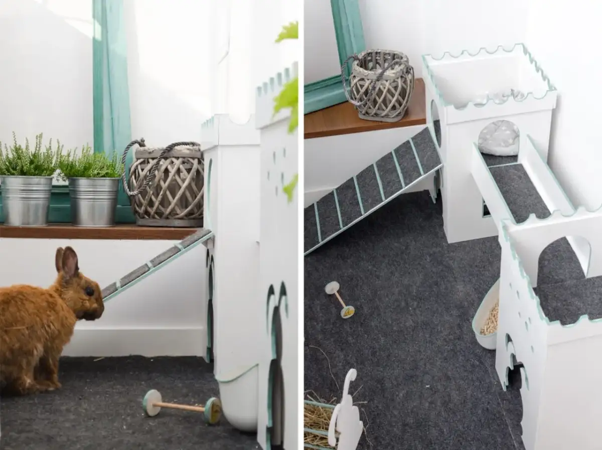 Jak stworzyć domek dla królika DIY - proste i tanie pomysły na projekt