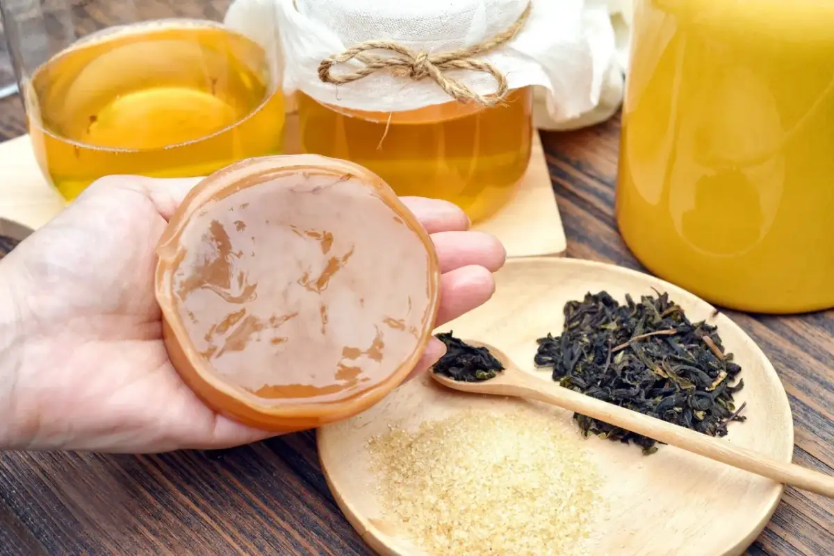 Dłoń trzyma dysk kombuchy, obok są słoiki z napojem, herbata i cukier.