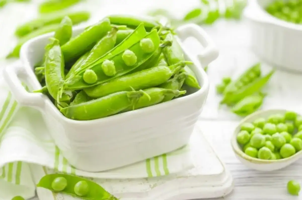 Świeży, zielony groszek dla niemowlaka w białej miseczce. Idealny pierwszy pokarm, pełen witamin.