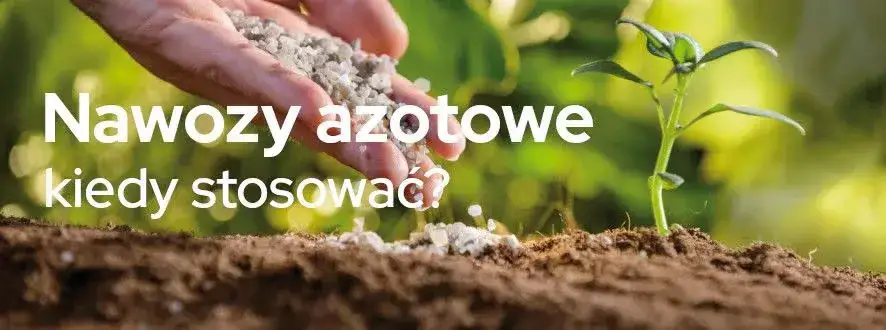 Od kiedy można stosować nawozy azotowe? Ważne przepisy i terminy dla rolników