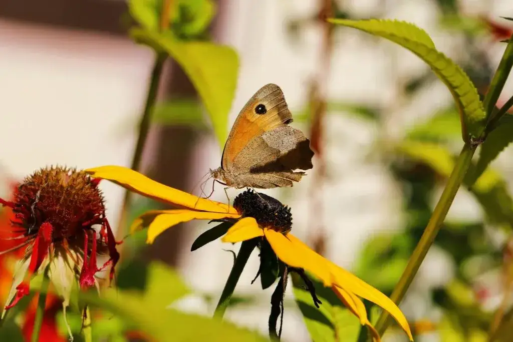 Jak zrobić kwietnik z rury PCV? Tani i stylowy DIY na balkon
