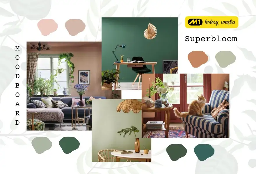 Jaka farba do salonu – wybierz idealny kolor i trwałość dla siebie