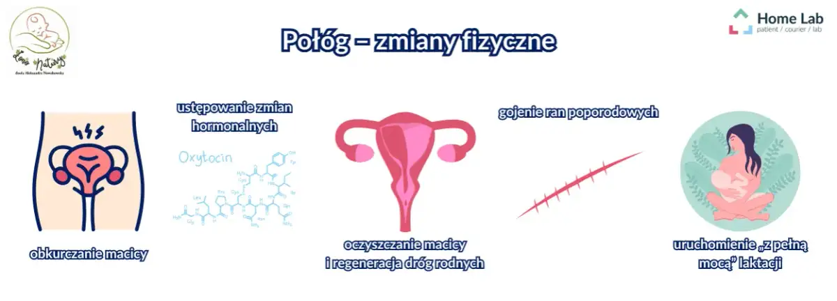 Kiedy oddać krew po porodzie? 6 miesięcy to początek sprawdź!