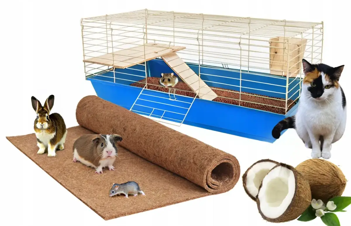 Co do kuwety dla królika – jak wybrać idealny model dla pupila?