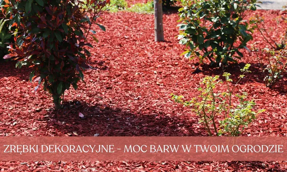 Mulcz dekoracyjny: Co to jest i jak odmieni Twój ogród? Poradnik