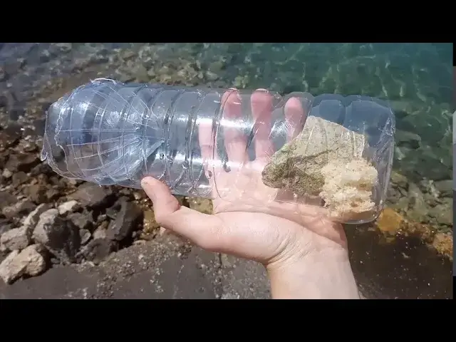 Jak zrobić pułapkę na ryby - proste sposoby, które zaskoczą każdego