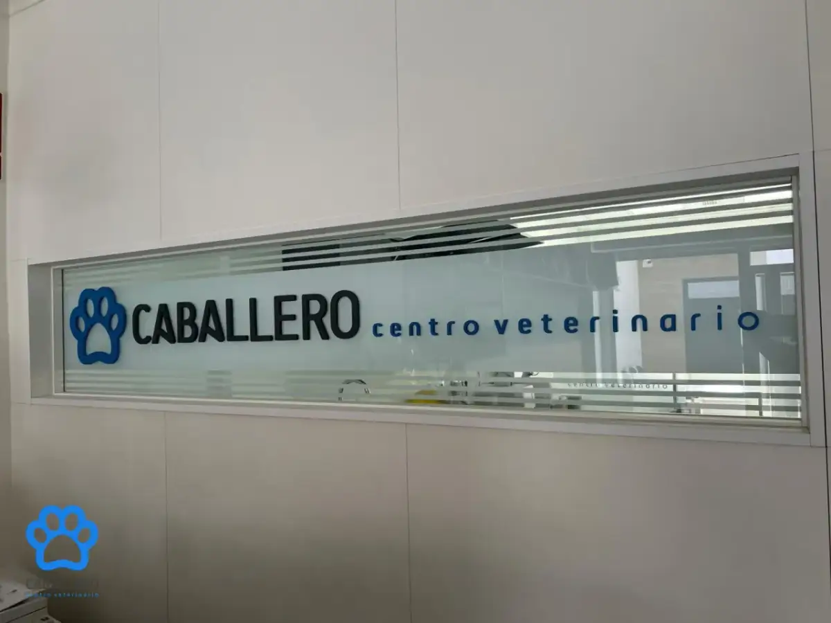 Clínica veterinaria Caballero: servicios, opiniones y ubicaciones detalladas