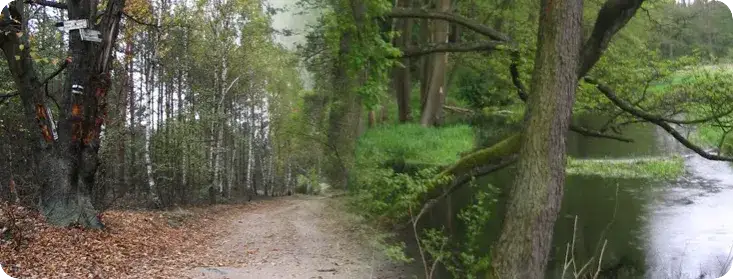 Nowy Duninów atrakcje - odkryj nieznane skarby tej miejscowości