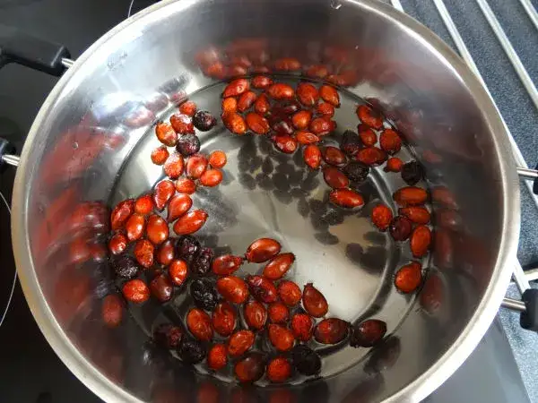 Jak zrobić herbatę z owoców dzikiej róży i cieszyć się jej zdrowiem