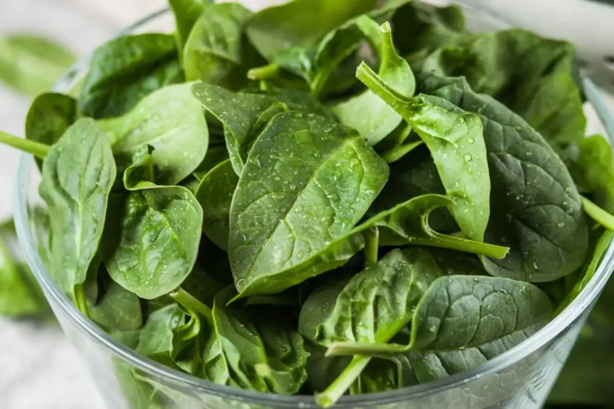 Świeży, zielony szpinak w szklanej misce. Poznaj jego cenne szpinak właściwości.