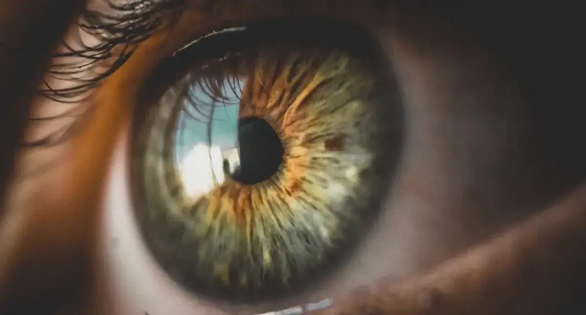 Czy wzrok się regeneruje? Odkryj granice naturalnej regeneracji oczu