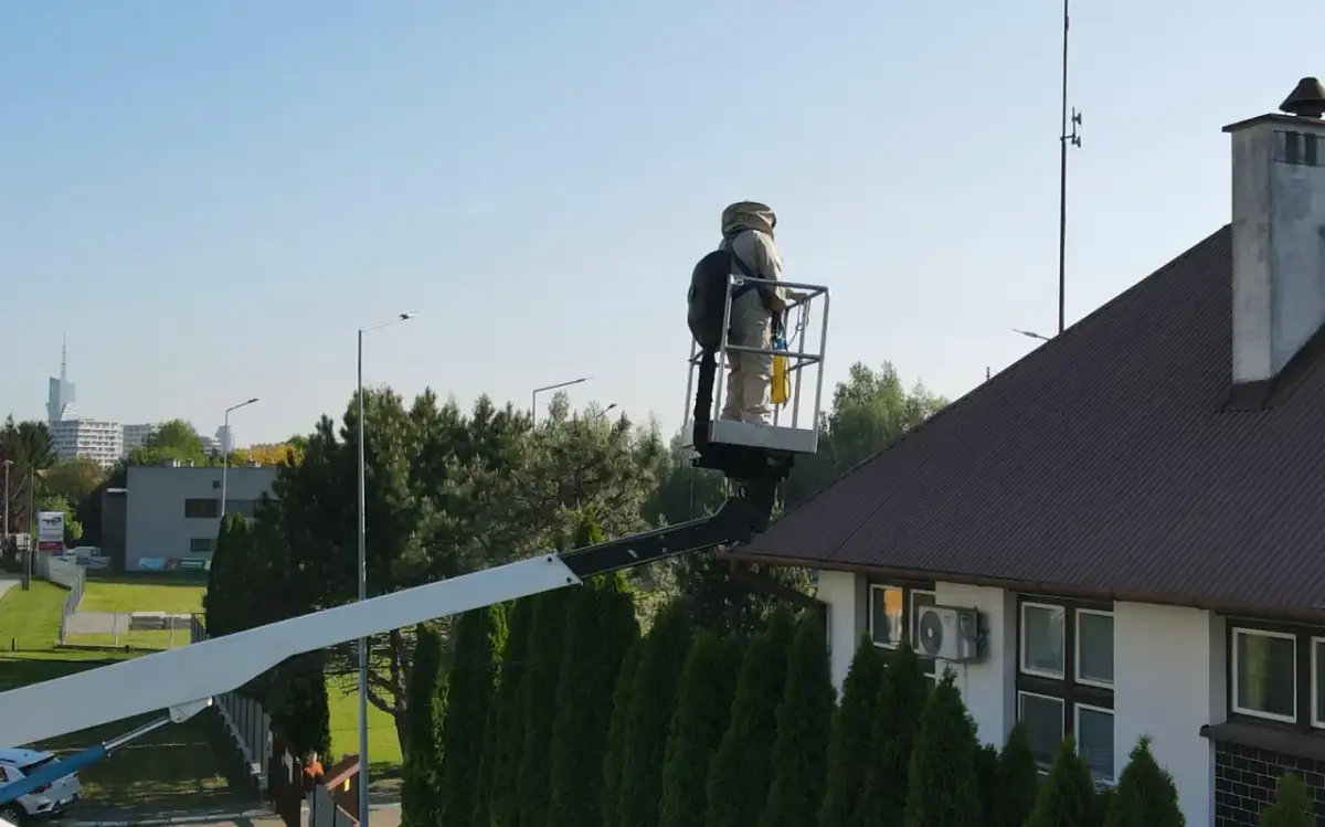 Osoba w stroju pszczelarza na podnośniku koszowym przy dachu domu, przygotowuje się do akcji jak odstraszyć osy z poddasza.