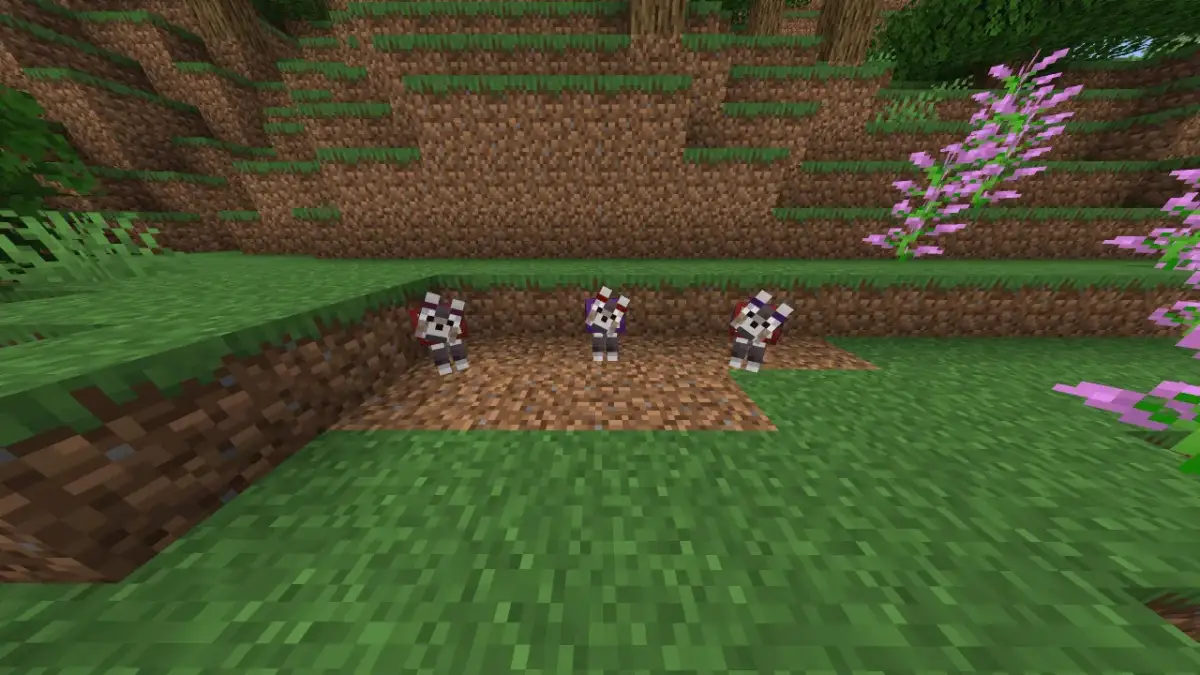 Jak zmienić kolor obroży psa w Minecraft i nadać mu unikalny styl