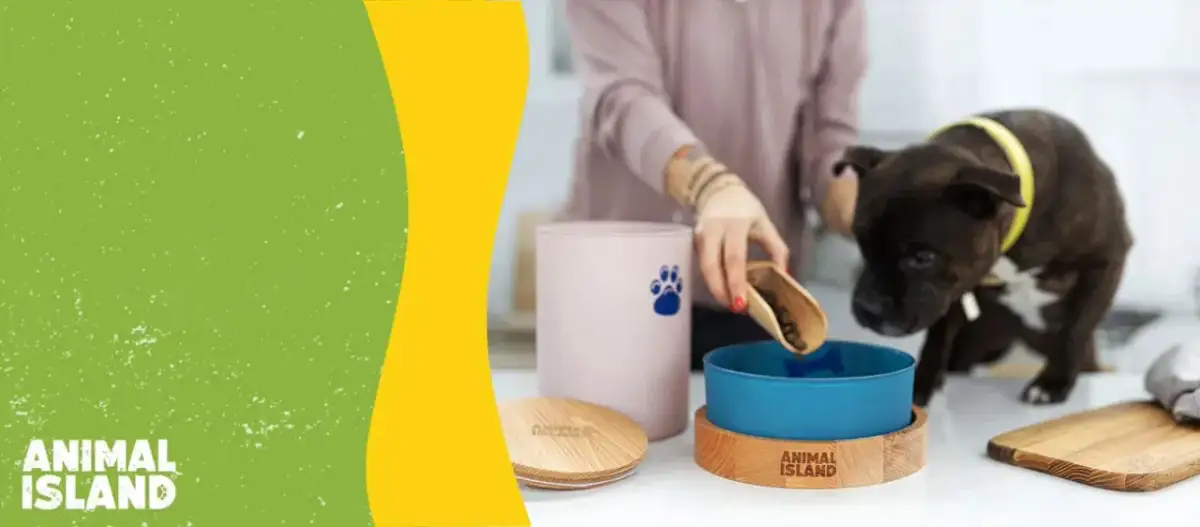 Jak wybrać najlepszą karmę dla psa? Poradnik eksperta.