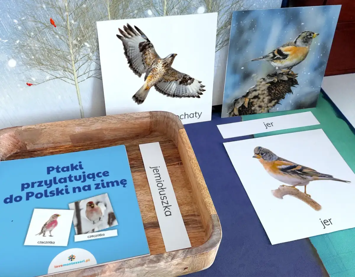 Ptaki przylatujące do Polski na zimę: Poznaj zaskakujących gości!