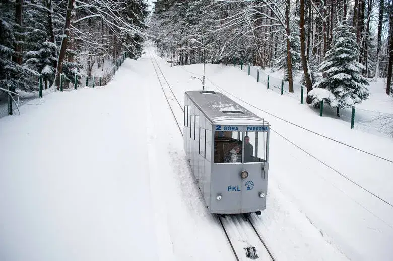 Ile kosztują bilety na Górę Parkową? Sprawdzamy ceny na 2025!