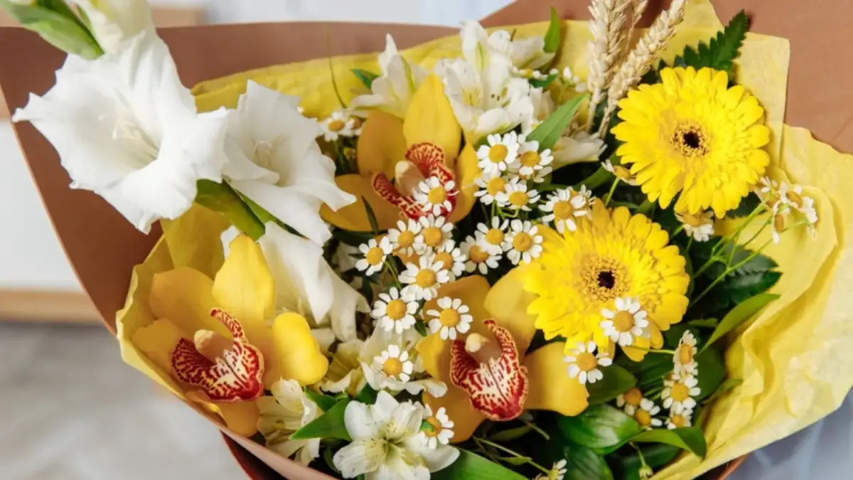 Żółte kwiaty: znaczenie, symbolika i jak ich nie pomylić